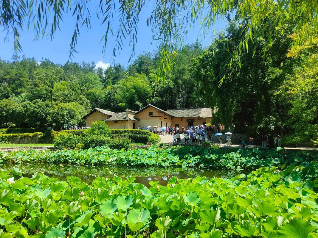 韶山红色研学旅行指南 逸游假期